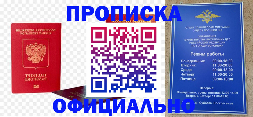 прописка иностранных граждан в ЕАО